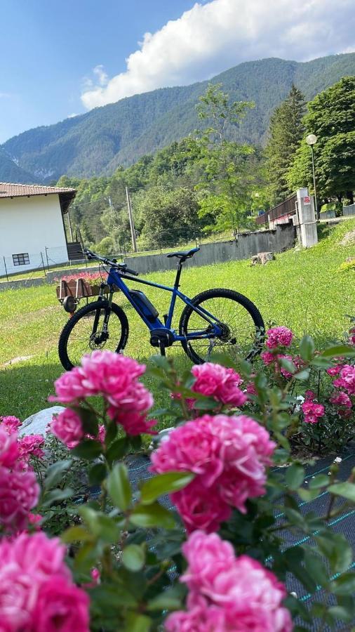 B&B Stari Mlin - Vecchio Mulino San Giorgio  エクステリア 写真