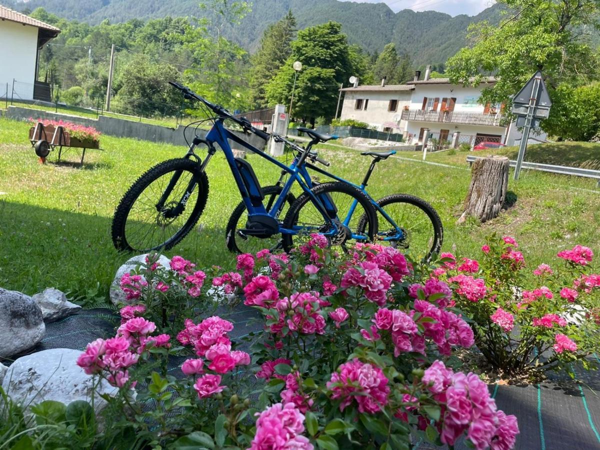 B&B Stari Mlin - Vecchio Mulino San Giorgio  エクステリア 写真